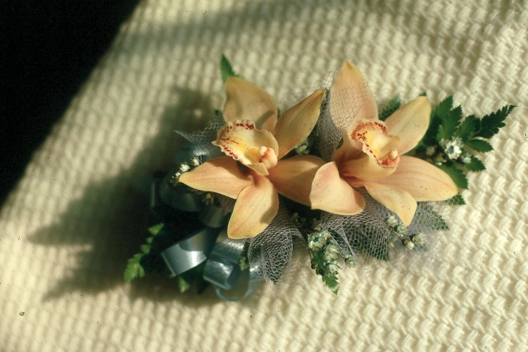 Scan1228 B Corsage Waterloo Grad Ball Jun 70.jpg